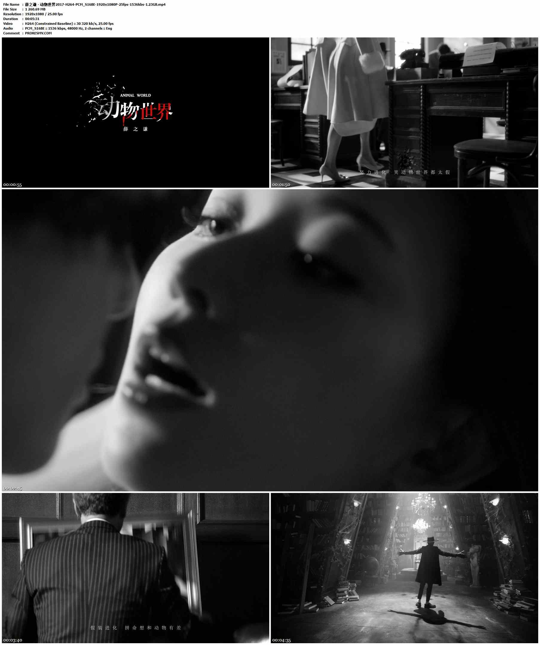 薛之谦 - 动物世界.2017-H264-PCM_S16BE-1920x1080P-25fps-1536kbs-1.23GB官方MV_高清MV